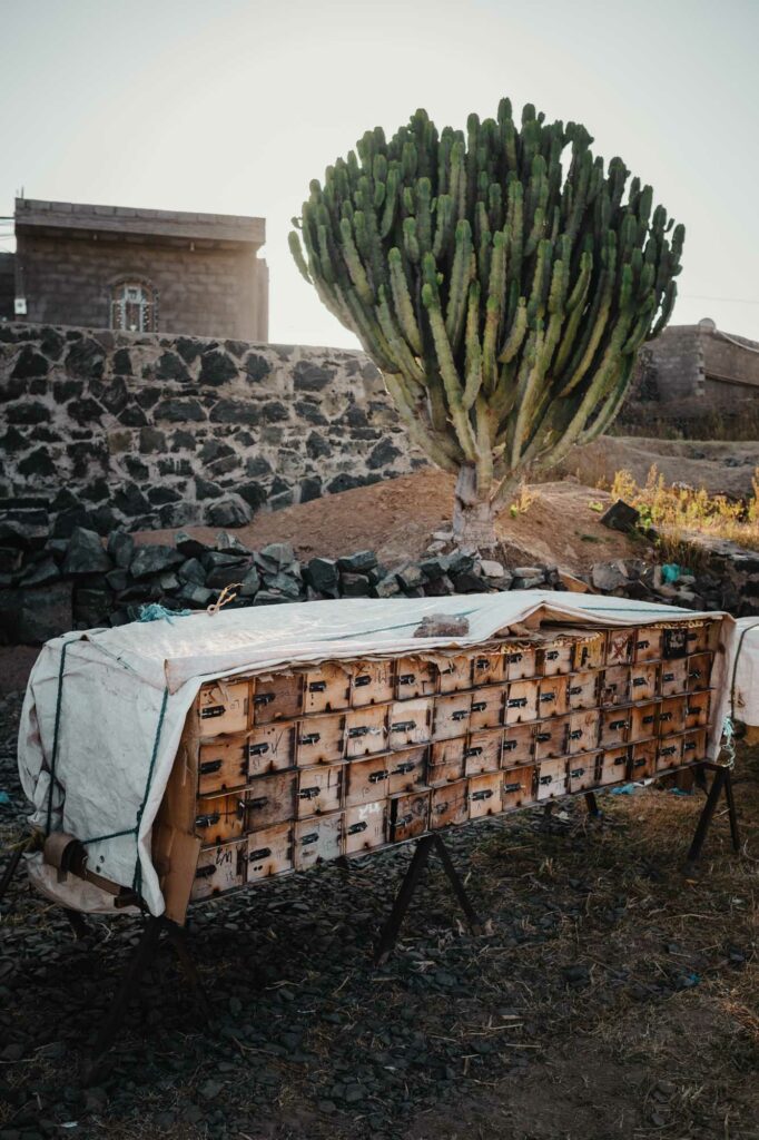 WFP Supported honey production in Yemen